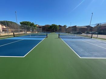 4 Pickleball courts & racket rentals